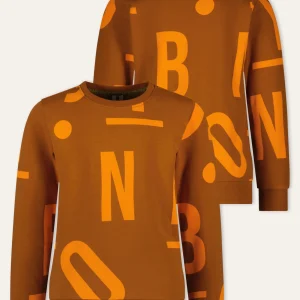 B.Nosy Scott Print Sweater Bruin