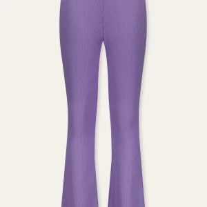 B.Nosy flared broek pammy paars Basic