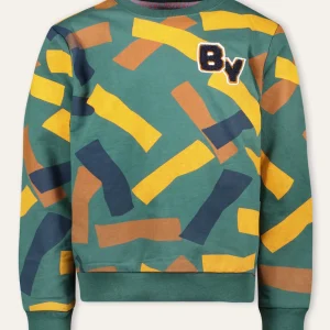 Scott Sweater Print Groen